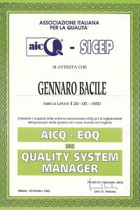 sistema gestione qualità iso 9001