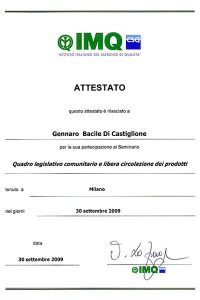 sistema gestione qualità iso 9001